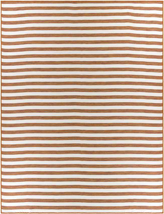 Alize Cottage Orange Area Rug