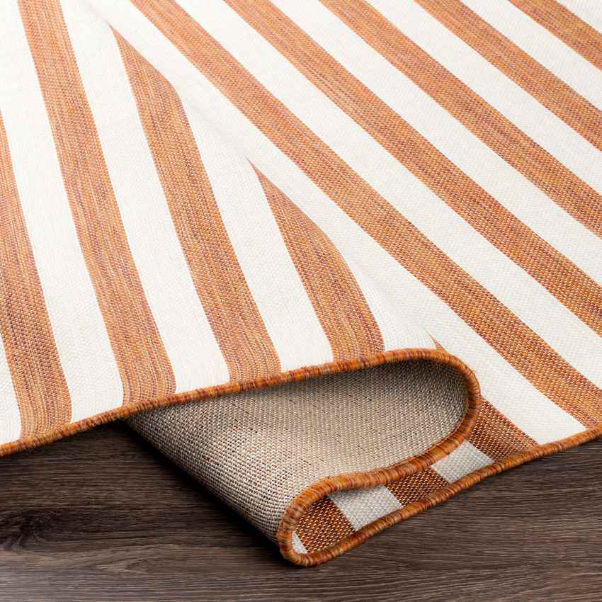 Alize Cottage Orange Area Rug