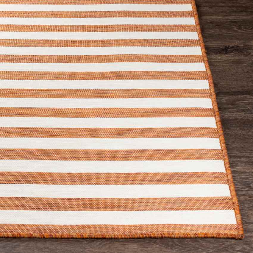 Alize Cottage Orange Area Rug