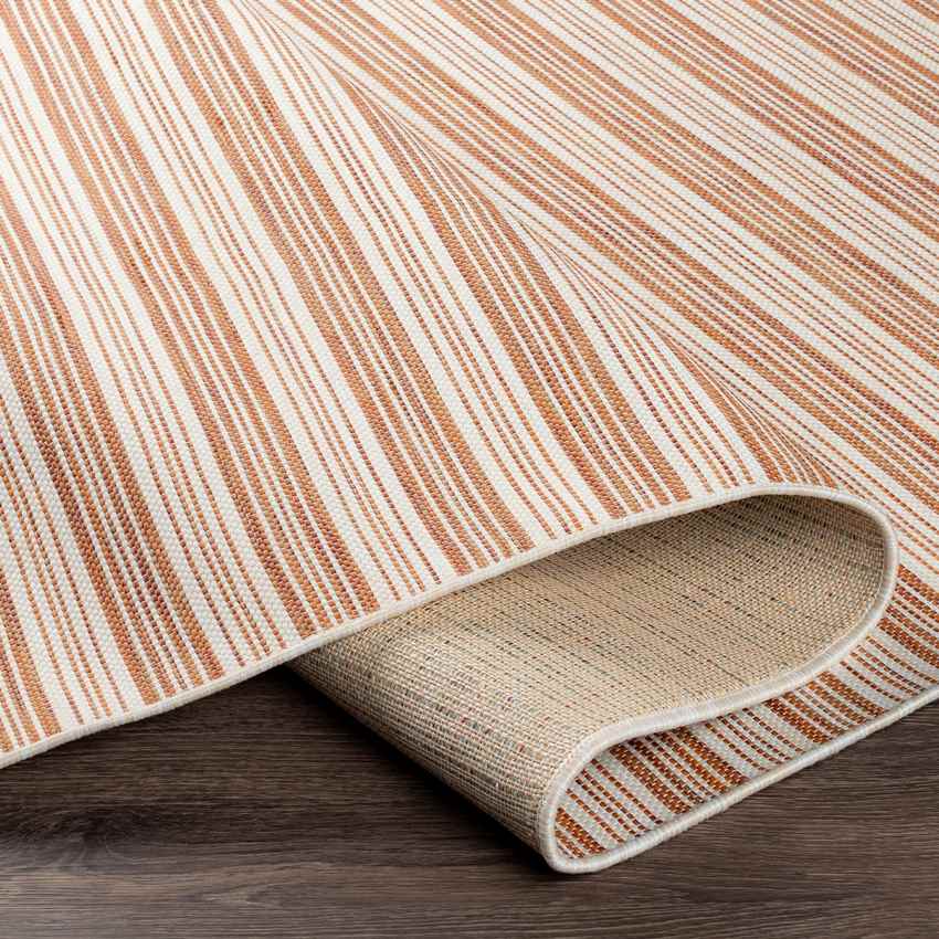 Partij Cottage Burnt Orange Area Rug