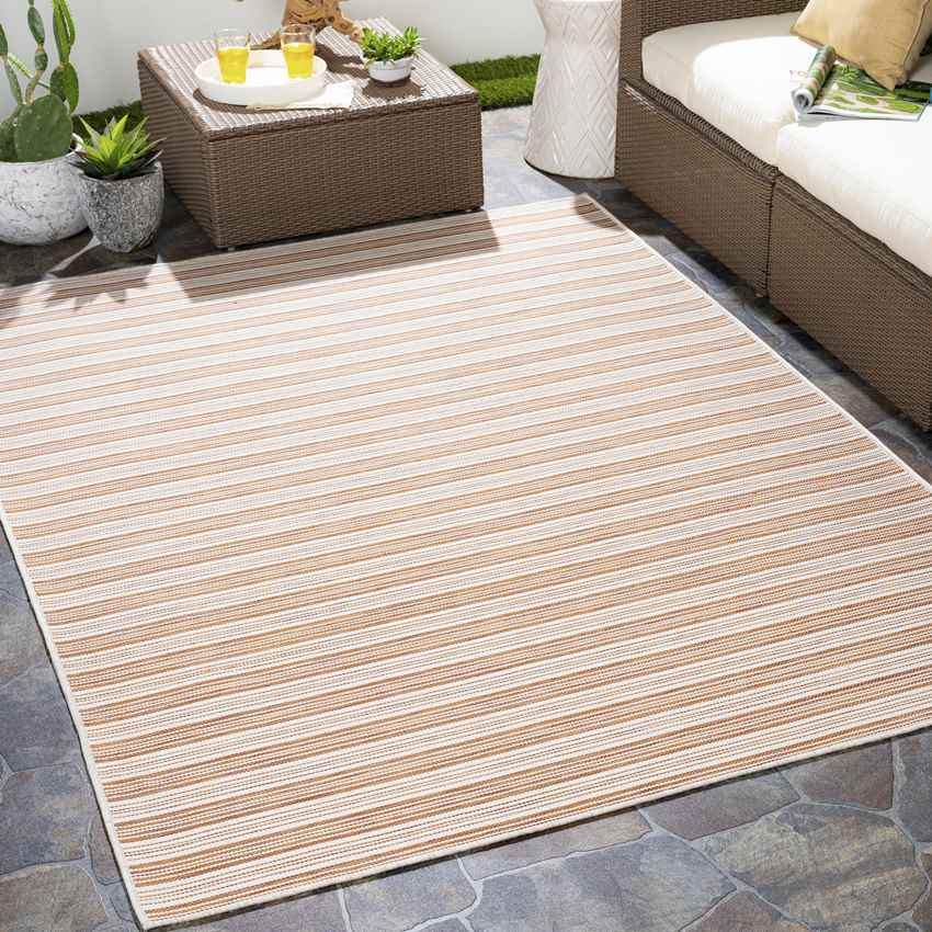 Partij Cottage Burnt Orange Area Rug