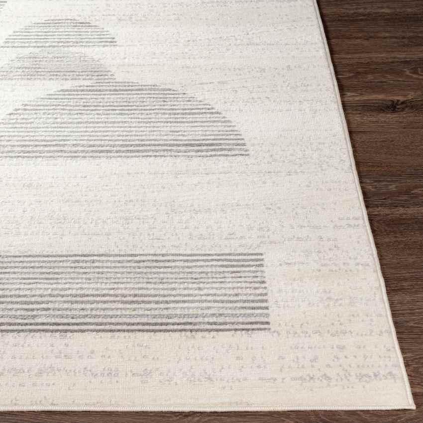 Piepert Modern Cream Area Rug