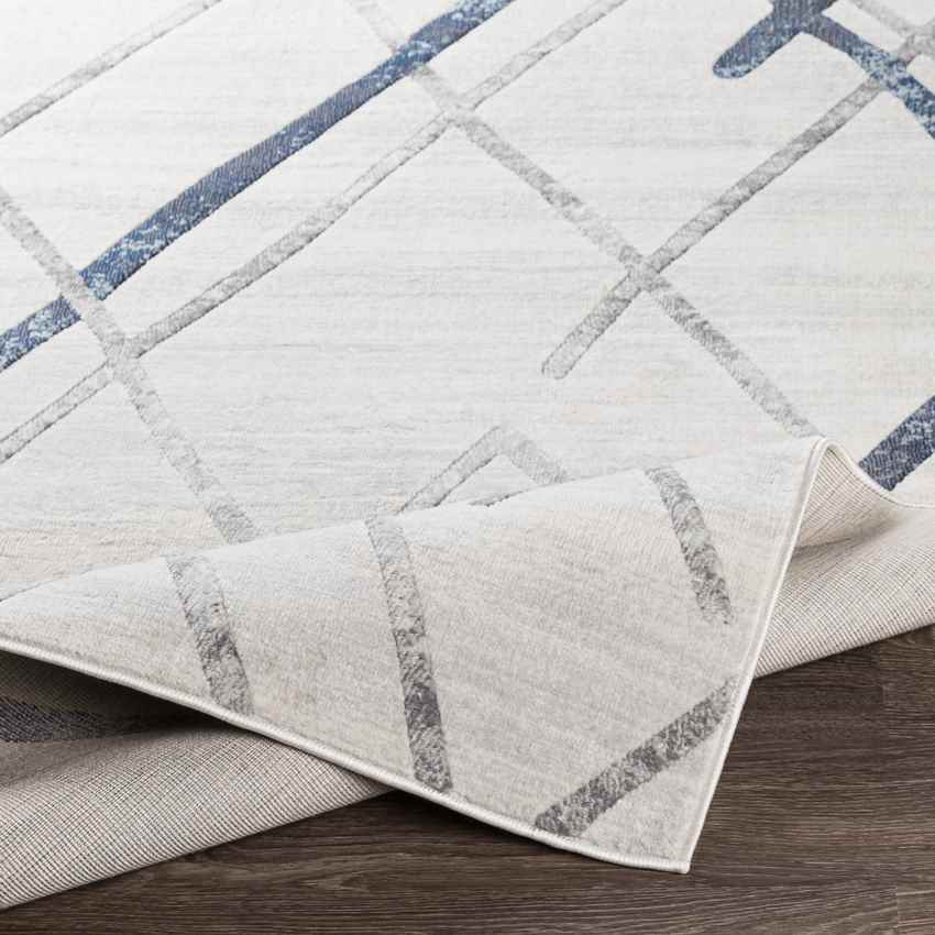 Susteren Modern White Area Rug