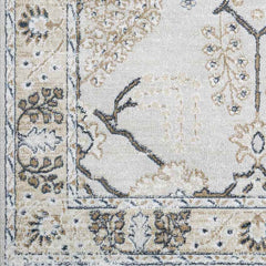 Beswerd Traditional Brown Area Rug