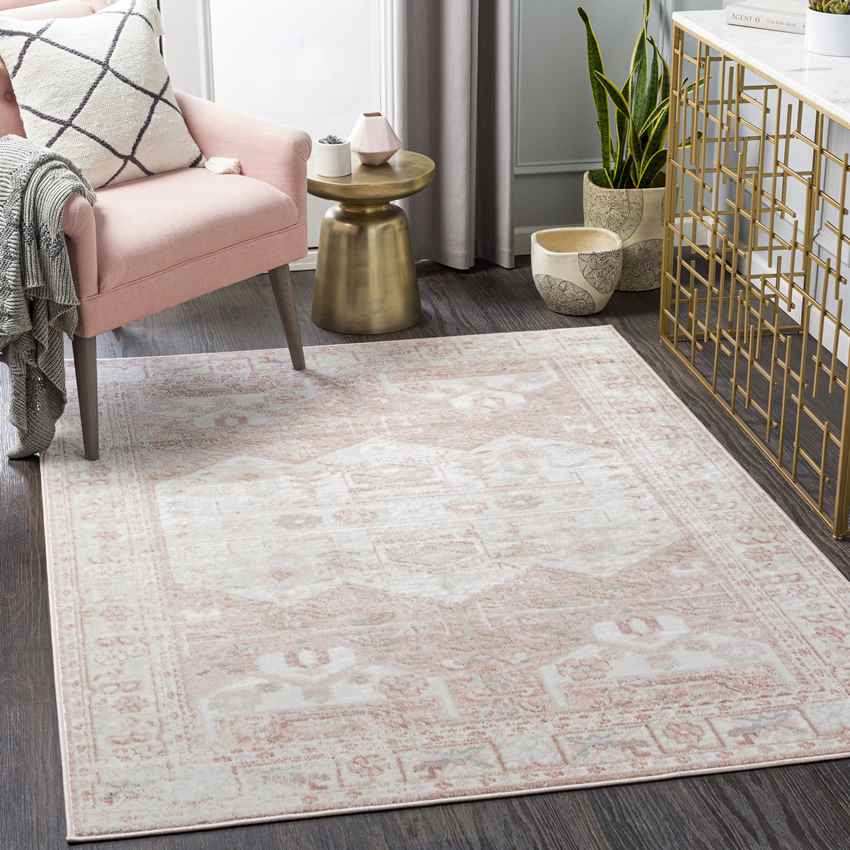 Biessum Traditional Light Brown Area Rug