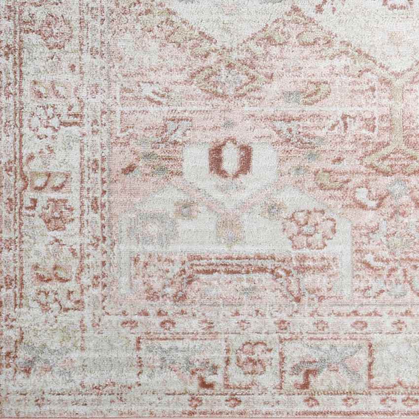 Biessum Traditional Light Brown Area Rug