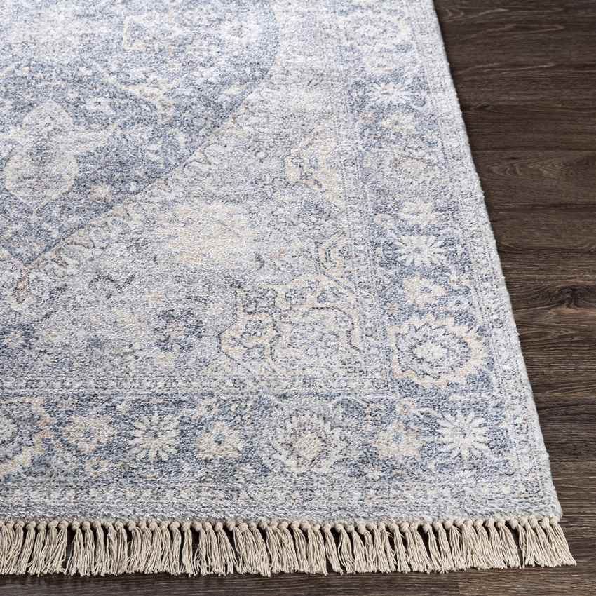 Delfzijl Traditional Pale Blue Area Rug
