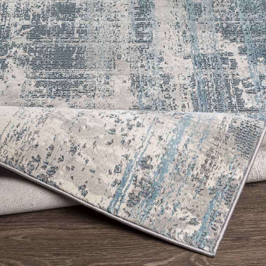 Eekwerd Modern Grey Area Rug