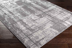 Eekwerd Modern Charcoal Area Rug