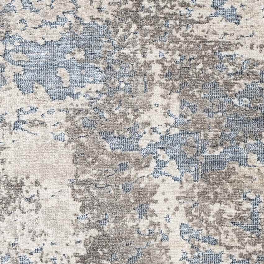 Frytum Modern Grey Area Rug