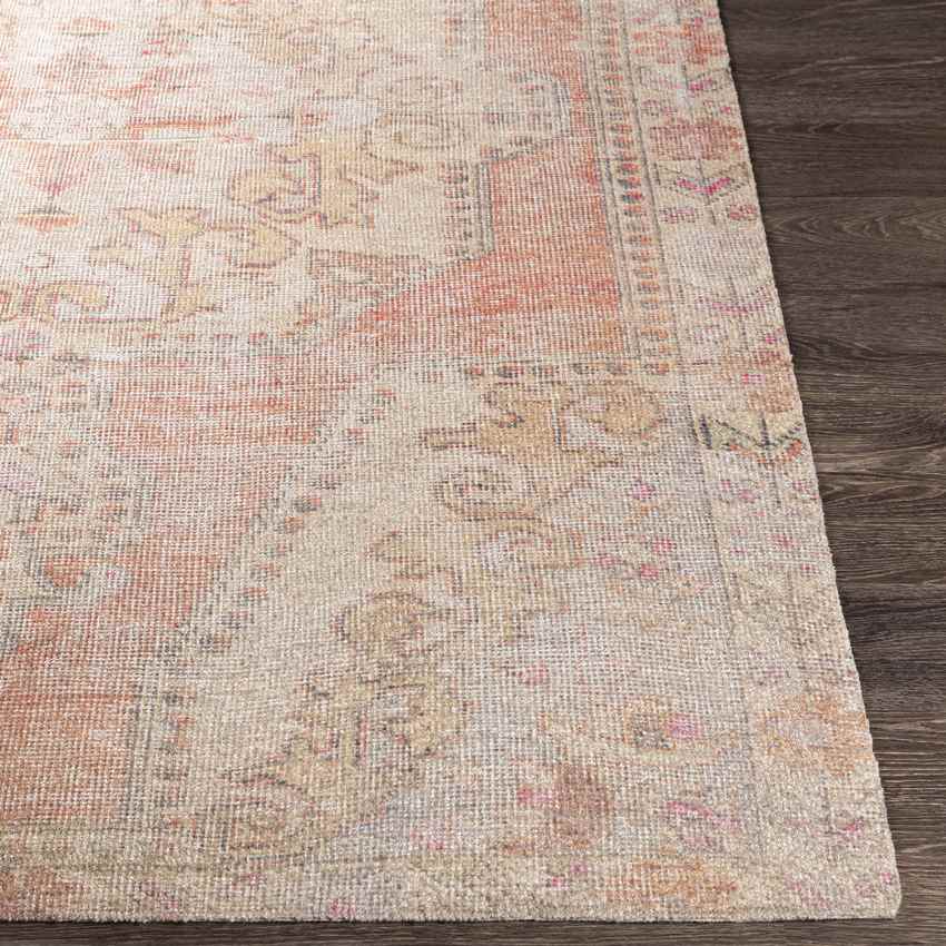 Kolham Traditional Orange Area Rug