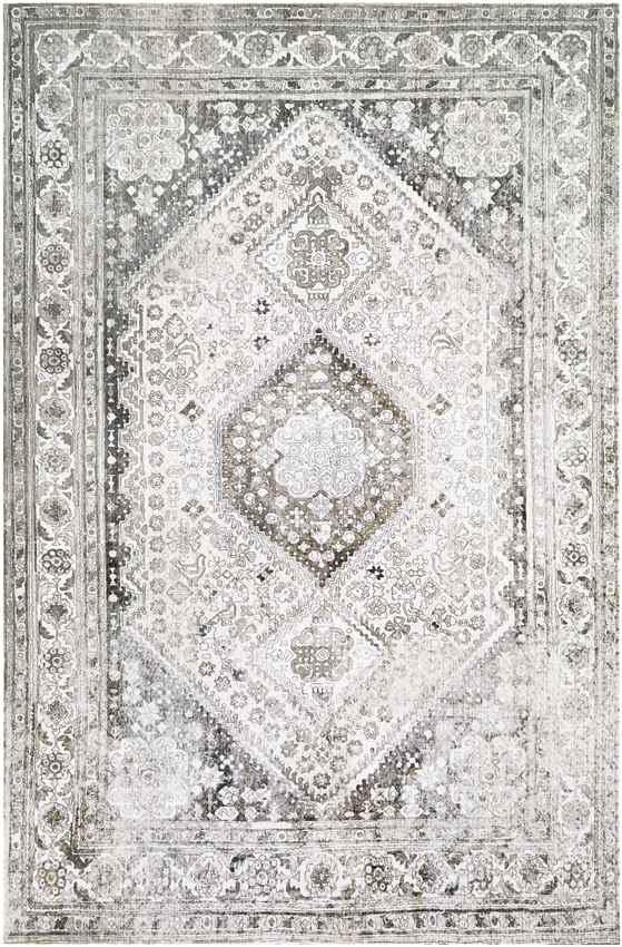 Morige Traditional Medium Gray Area Rug