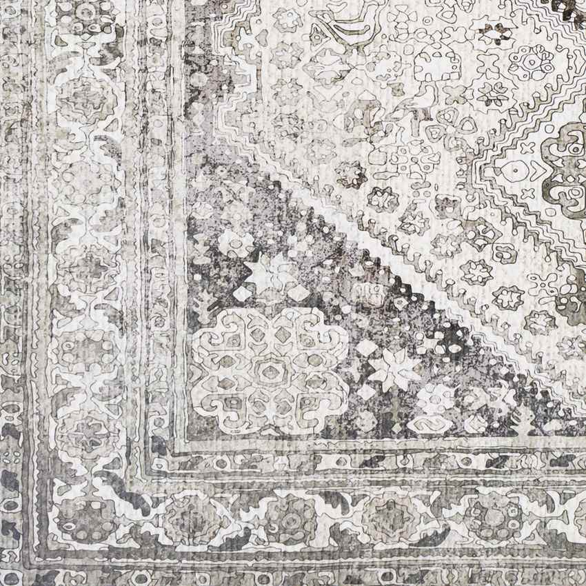 Morige Traditional Medium Gray Area Rug