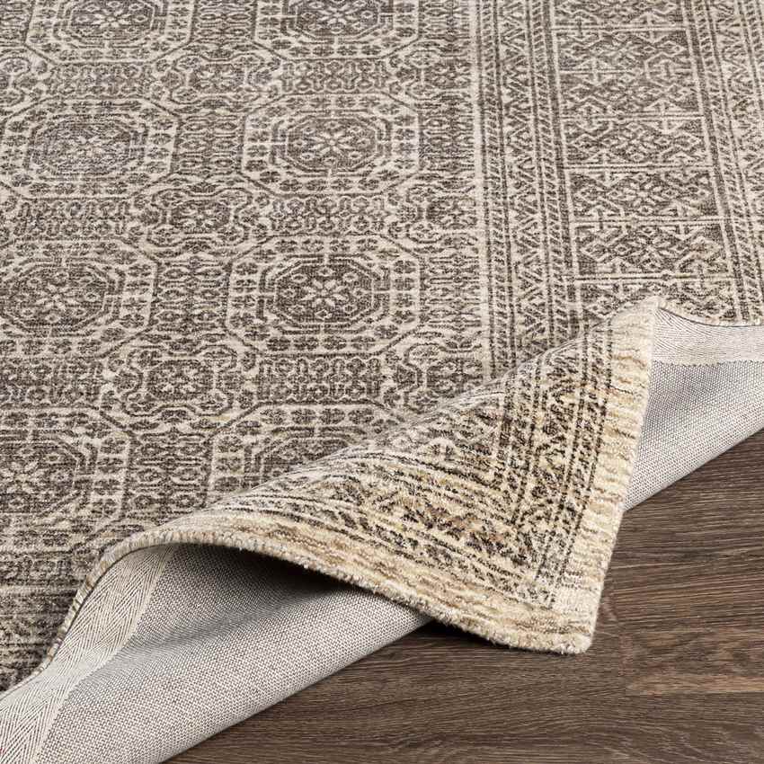 Woltersum Traditional Brown Area Rug