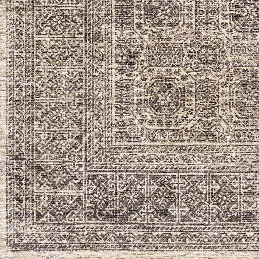 Woltersum Traditional Brown Area Rug