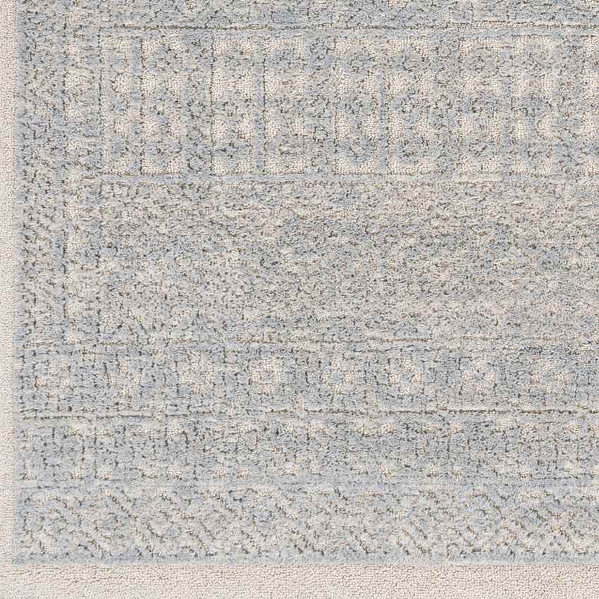 Acquoy Traditional Teal Area Rug
