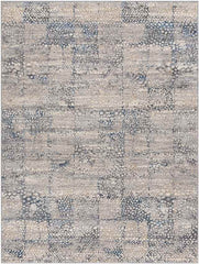 Aperloo Modern Medium Gray Area Rug