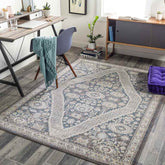 Danny Traditional Taupe Area Rug
