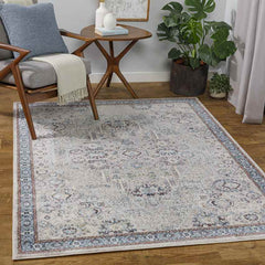 Danny Traditional Gray Area Rug
