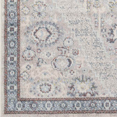 Danny Traditional Gray Area Rug