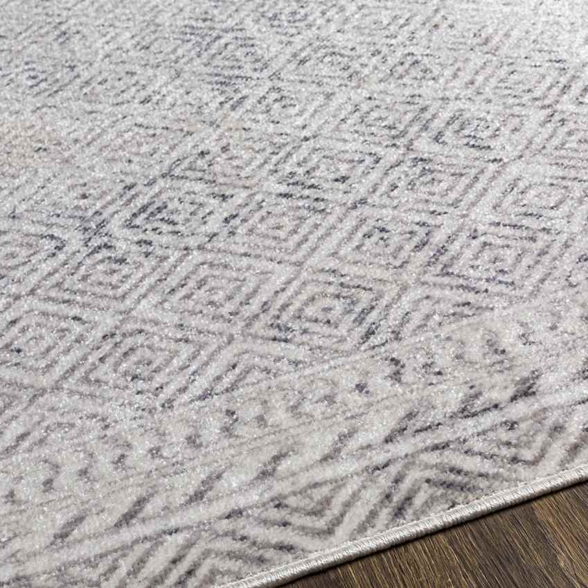 North Barrington Traditional Light Gray Area Rug