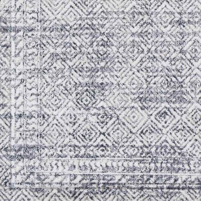 North Barrington Traditional Medium Gray Area Rug