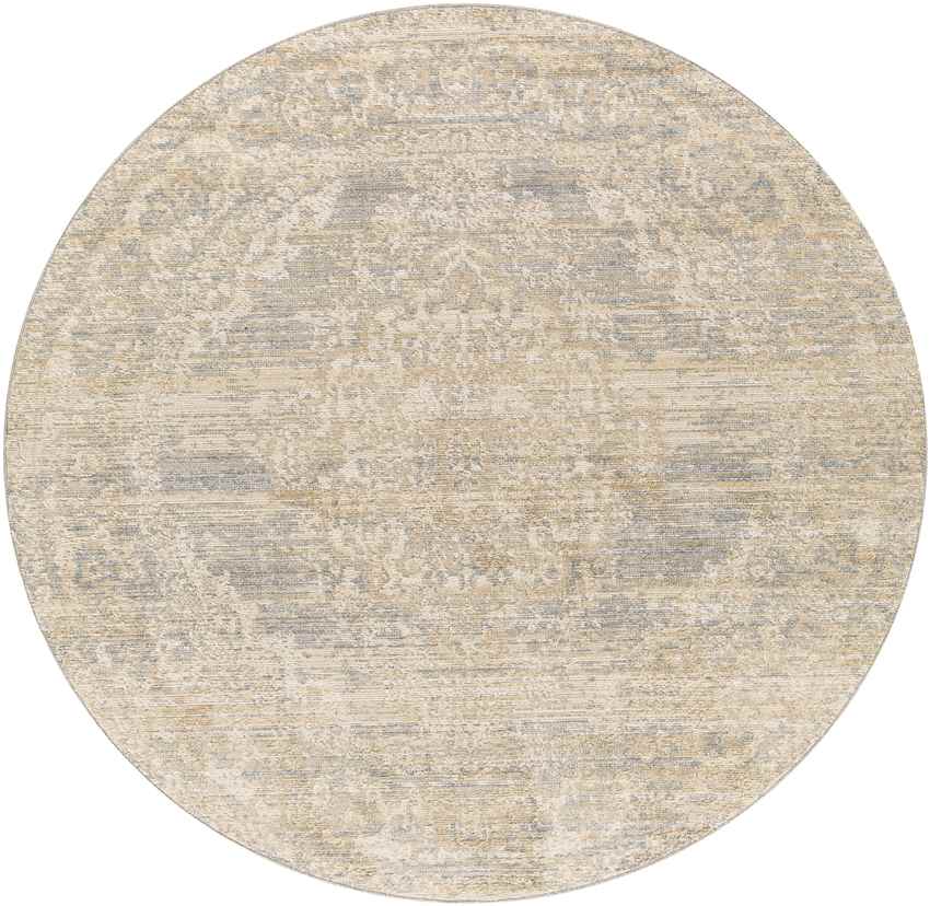 Warrick Traditional Beige Area Rug
