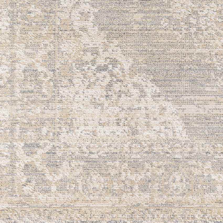 Warrick Traditional Beige Area Rug