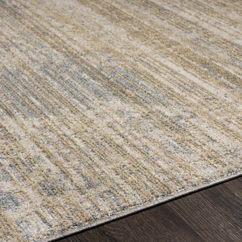 Warrick Traditional Beige Area Rug