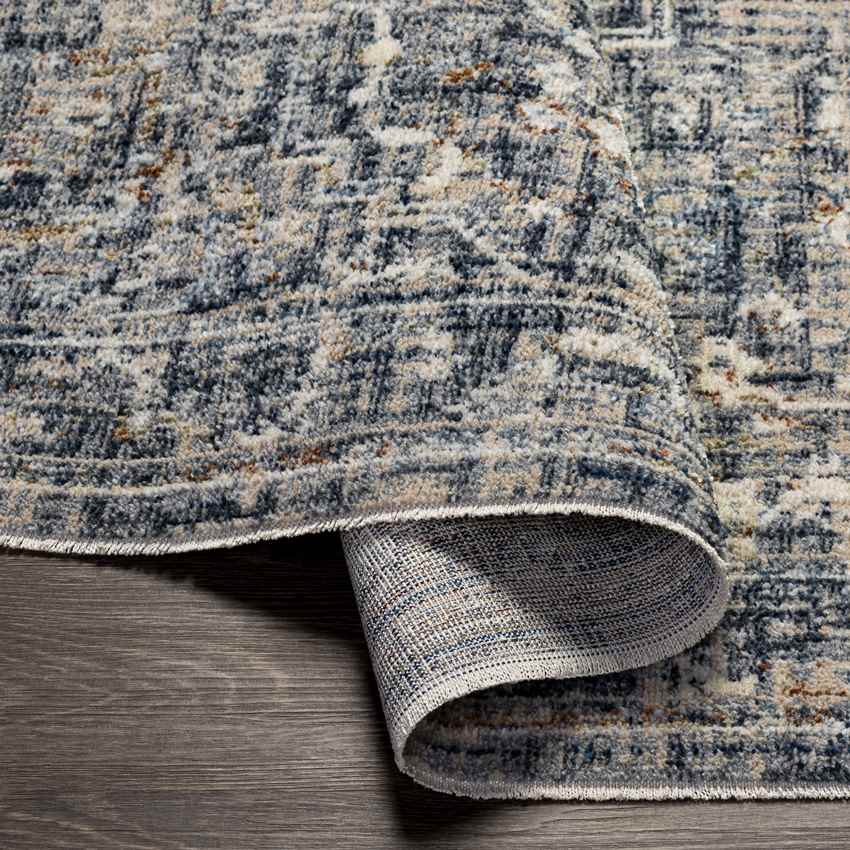 Jay Traditional Denim Area Rug