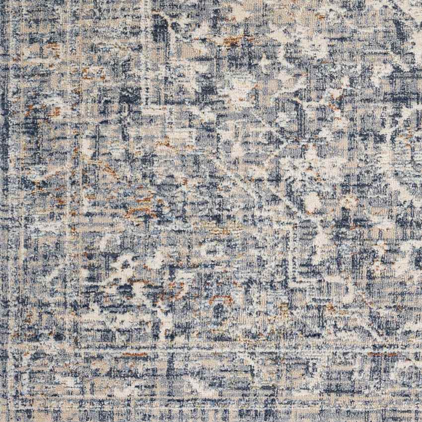 Jay Traditional Denim Area Rug