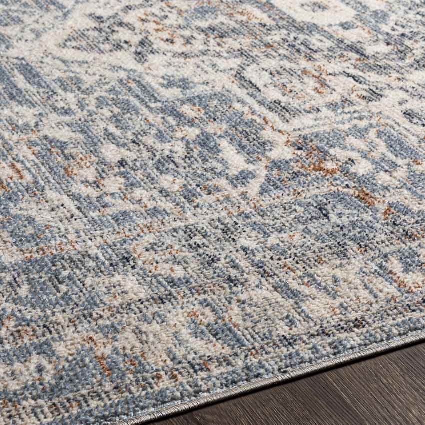 Jay Traditional Dark Teal Area Rug