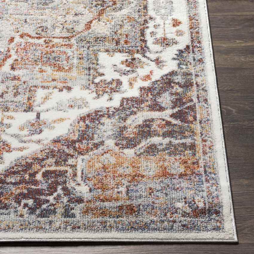 Rolling Meadows Traditional Light Gray Area Rug