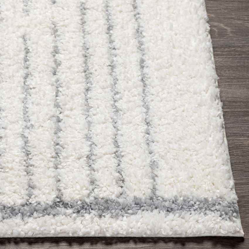 Oakbrook Terrace Modern Light Gray Area Rug
