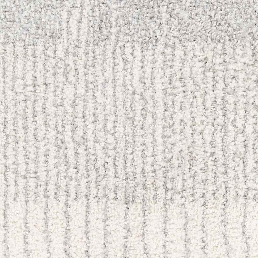 Oakbrook Terrace Modern Light Gray Area Rug