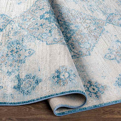 New Salem Traditional Dark Blue Area Rug