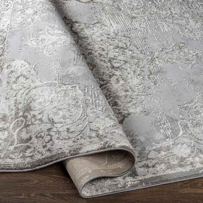 Jerry Traditional Charcoal Area Rug