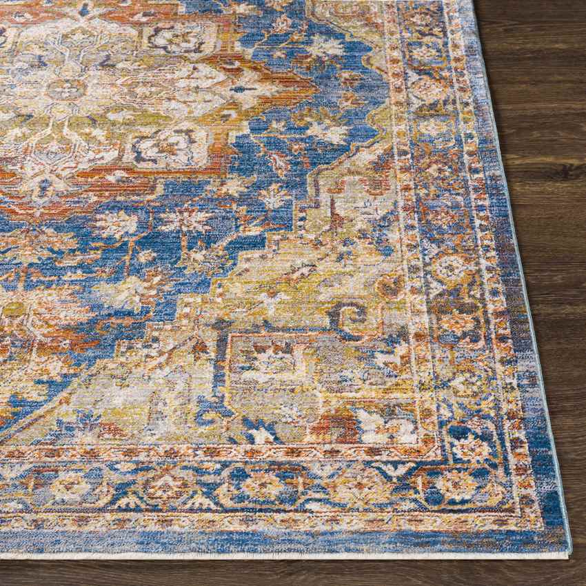 Willow Springs Traditional Saffron Area Rug