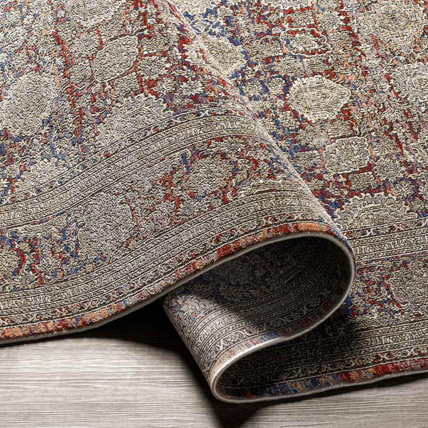 Poneto Traditional Brown Area Rug