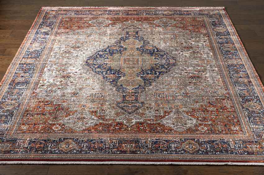 Poseyville Traditional Burnt Orange Area Rug