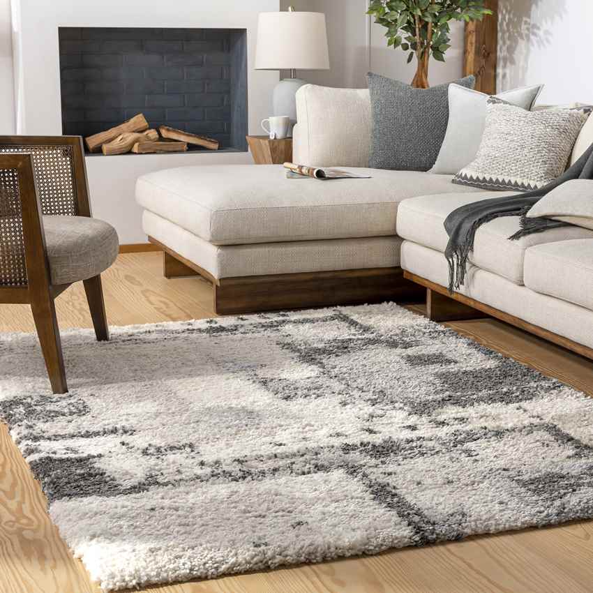 La Moille Modern Charcoal Area Rug