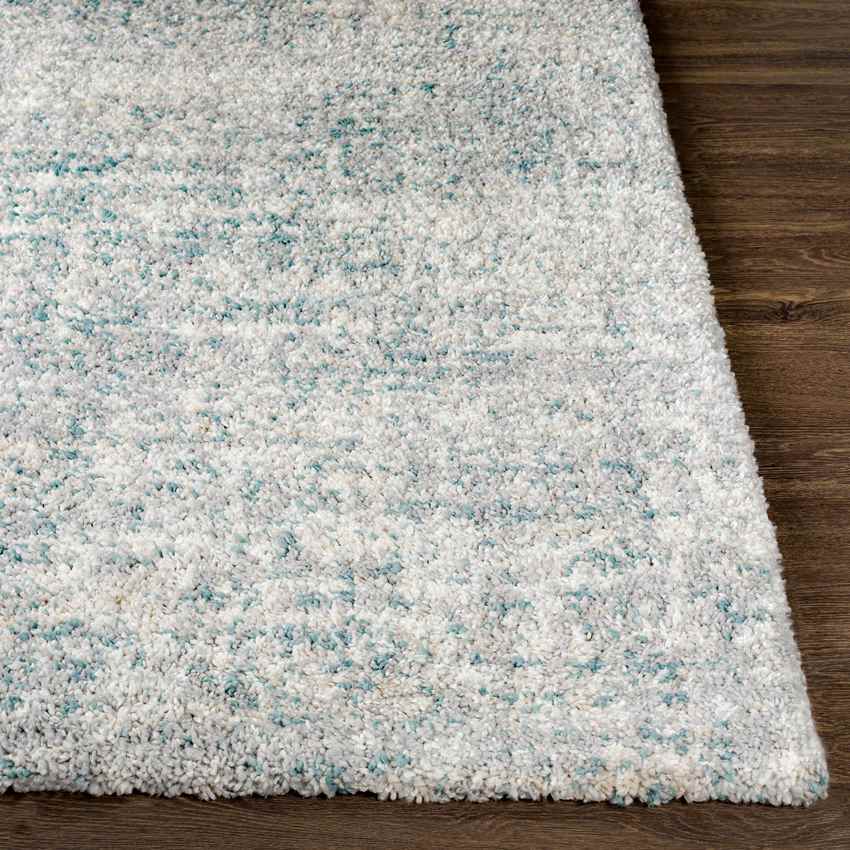 La Rose Modern Aqua Area Rug