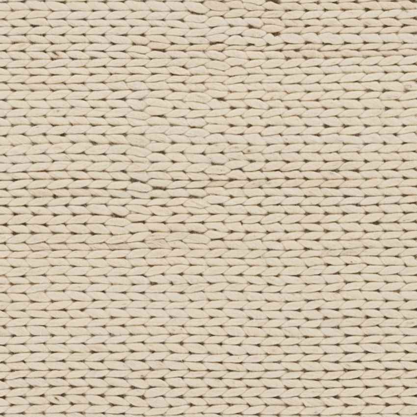 Aaron Modern Ivory Area Rug