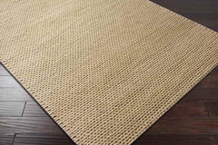 Aaron Modern Tan Area Rug