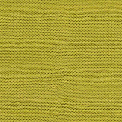 Aaron Modern Lime Area Rug