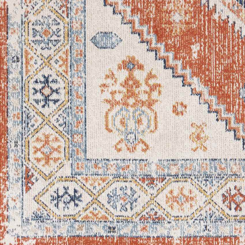Bone Gap Global Burnt Orange Area Rug