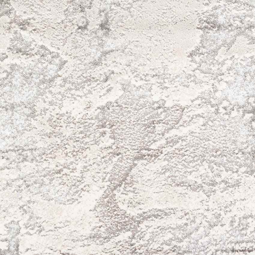 Lake in the Hills Modern Light Gray Area Rug