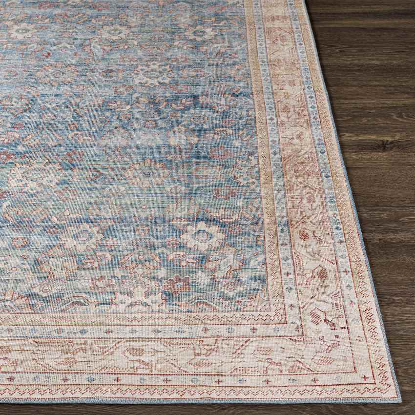 Orland Park Traditional Dark Blue Area Rug