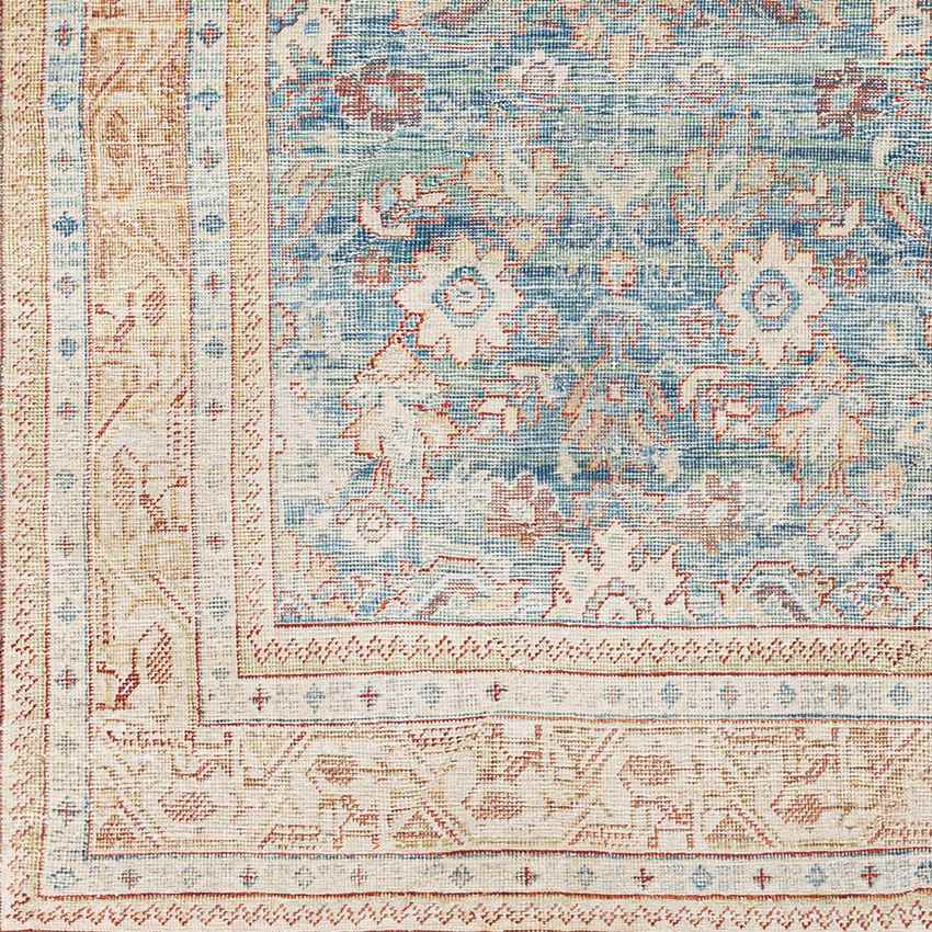 Orland Park Traditional Dark Blue Area Rug