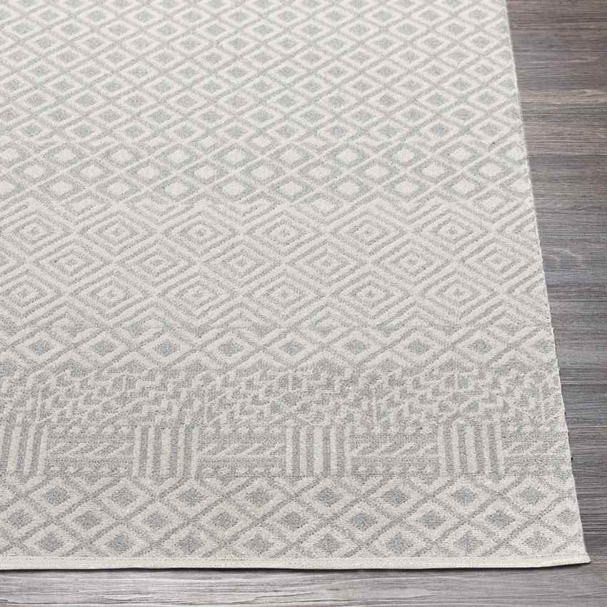 Waynetown Global Gray Washable Area Rug